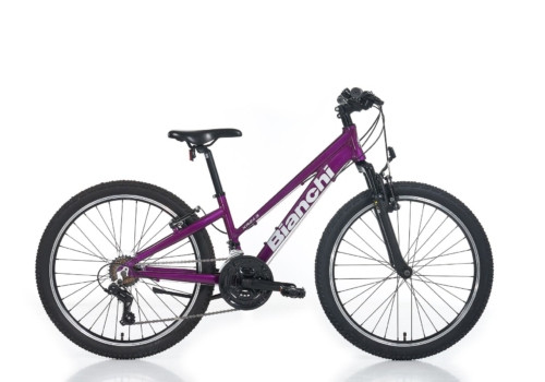 BIANCHI XR24.3